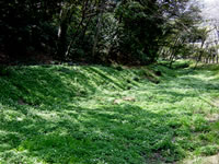 �����Ϥ��ͻ�