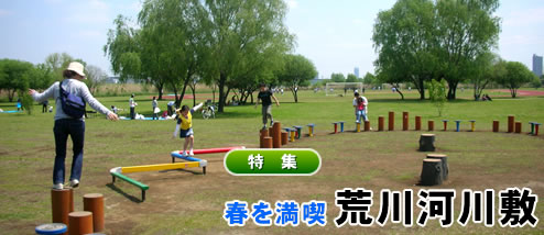 �դ����ʡ����������