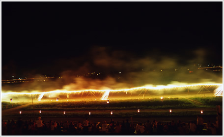 �ʥ�������