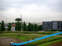 ���߸���