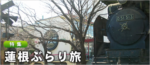 ϡ���֤��ι