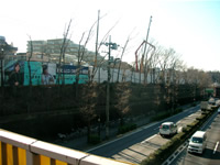 �緿�Υޥ󥷥��