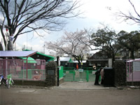 �Ķ���Ω�Ҥɤ�ưʪ�ࡡ���Ķ��ܱ�