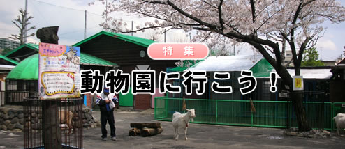 ưʪ��˹Ԥ�����