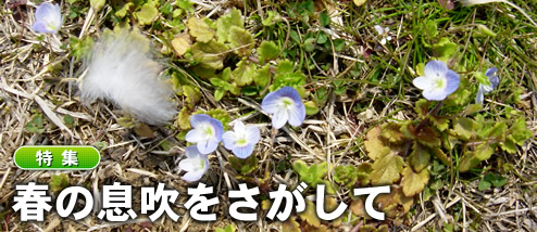 �դ�©��򤵤�����