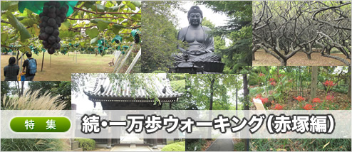 ³�������⥦�������󥰡������ԡ�