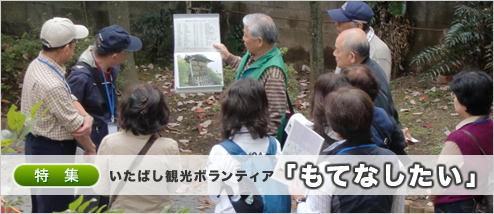 �����Ф��Ѹ��ܥ��ƥ����֤�Ƥʤ�������